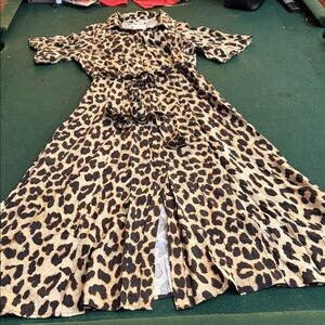 H&M Leopard Print Long Sleeve Dress